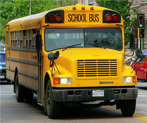 bus 